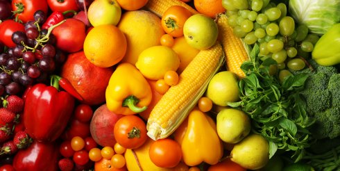 atelier-nutrition